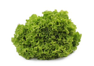 Салат романо 1 кг - купить в Новокызылярово